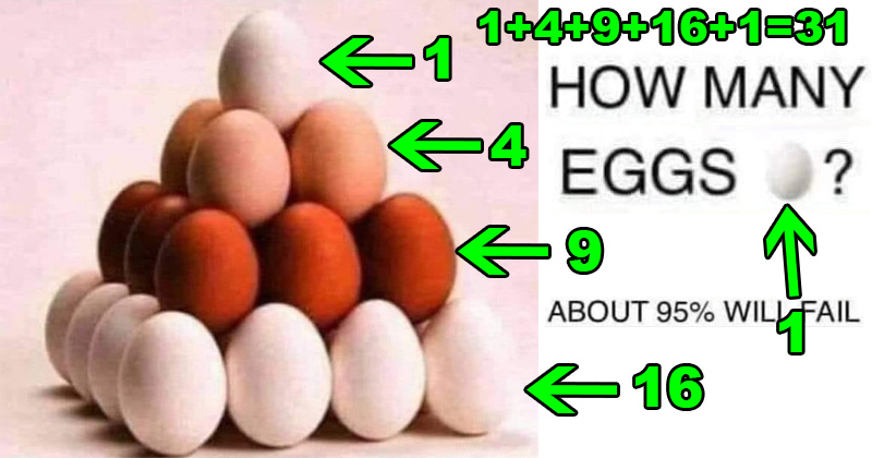 solution 31 eggs