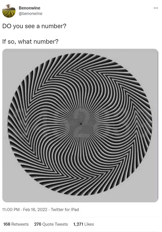 optical illusion number1