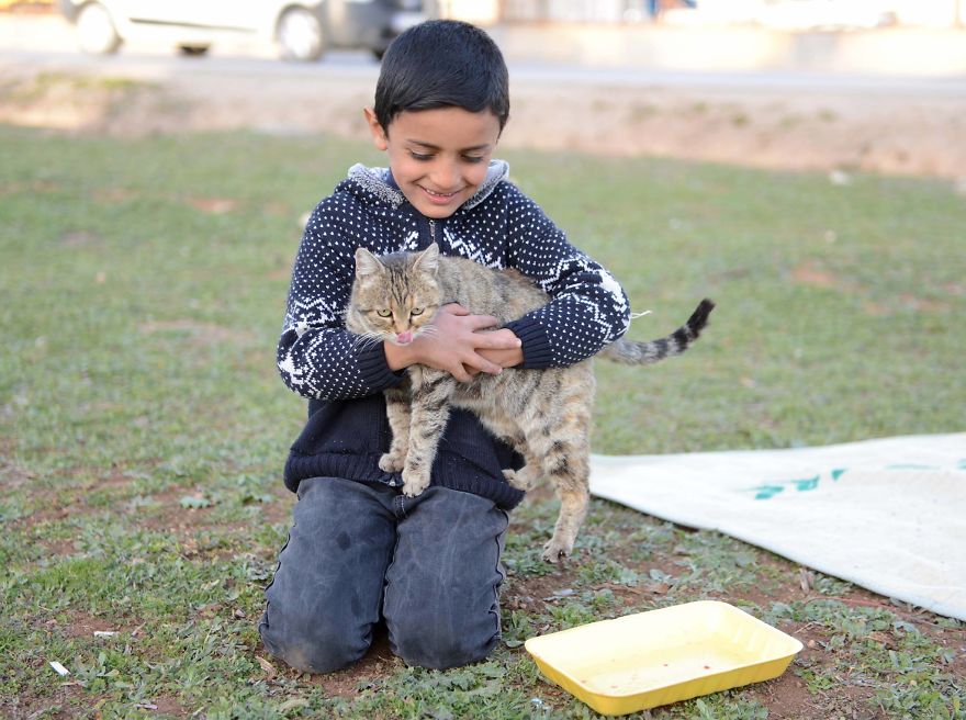 little boy with cat